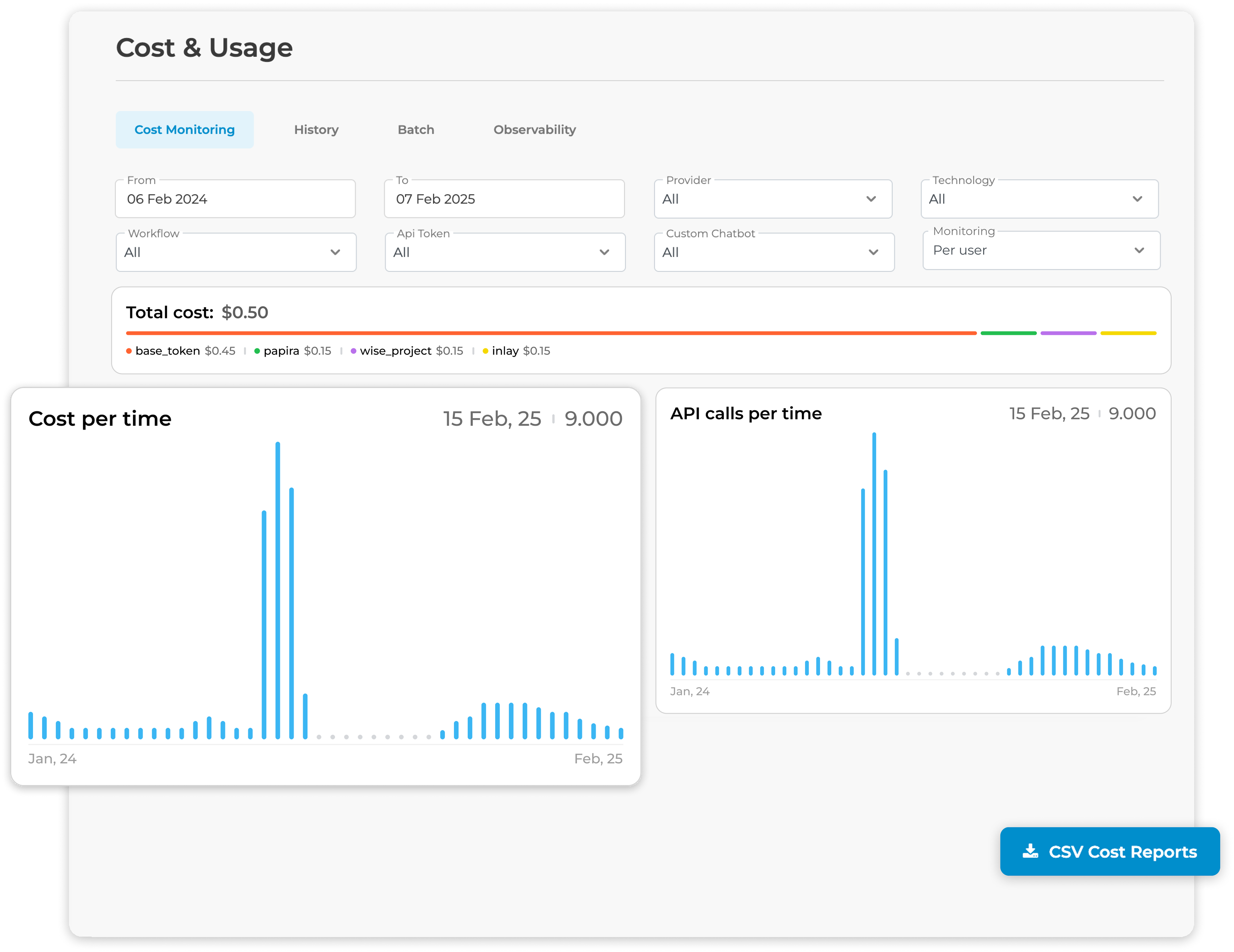 Eden AI cost monitoring overview