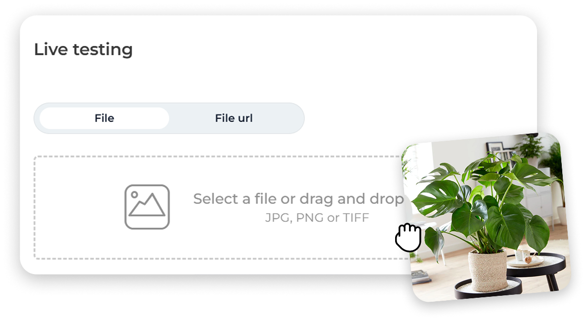 Eden AI comparison dashboard visuals